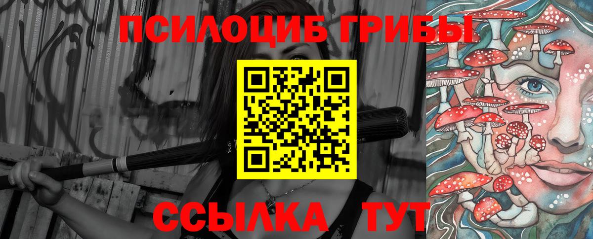 Галлюциногенные грибы Cubensis Анжеро-Судженск
