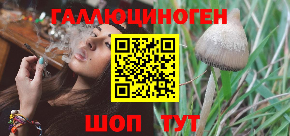 Анжеро-Судженск  Псилоцибиновые грибы GOLDEN TEACHER  Вход с VPN  Псилоцибиновые грибы мухоморы 